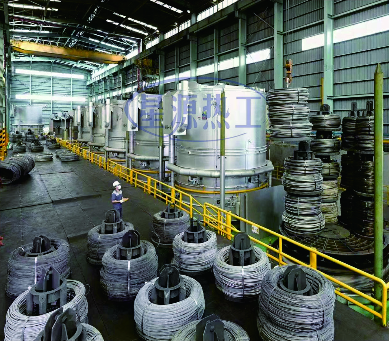 ǿ��������ʽ�����˻�¯